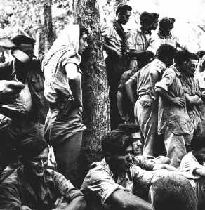 Eine Gruppe von Kämpfern der Jiftach-Brigade bei einer Kampfpause - Juli 1948. Bei dem Soldaten links unten ist die Nummer von Auschwitz zu sehen. - Quelle:Yad Vashem